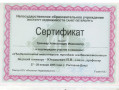 Сертификат участия в семинаре Тринев Александр Иванович
