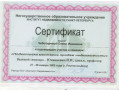 Сертификат участия в семинаре Чеботарева Елена Ивановна